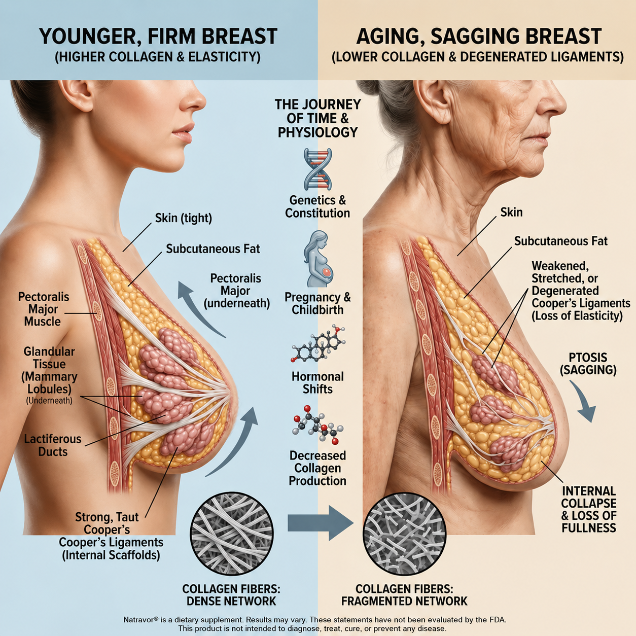 🔥Limited-time 60% sale--Natravor Targeted Breast Enhancement Advanced Nano-Microneedle Patches