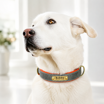 Personalized Dog Collar with Name & Phone Nr.