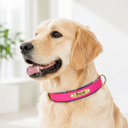 Personalized Dog Collar with Name & Phone Nr.