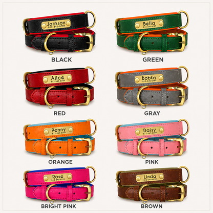 Personalized Dog Collar with Name & Phone Nr.