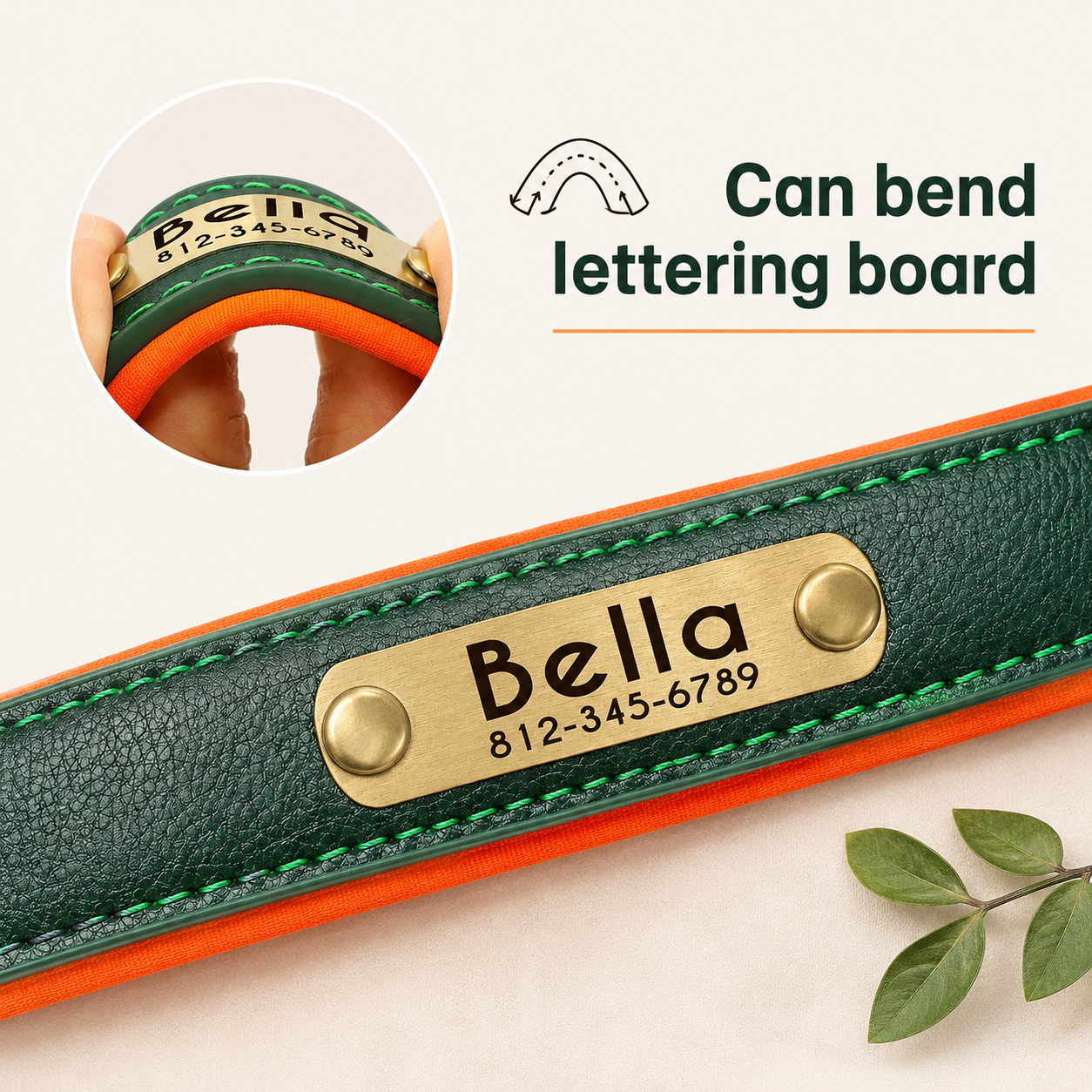 Personalized Dog Collar with Name & Phone Nr.