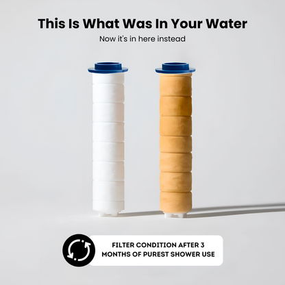 THE FILTERED SHOWERHEAD™