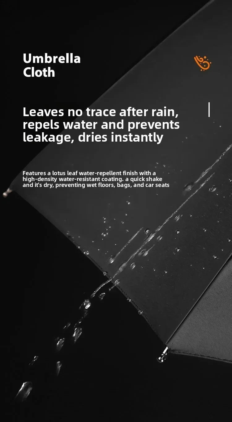 Automatic Umbrella - Loop Buckle