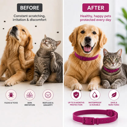 8 Month Flea & TickProtection Collar