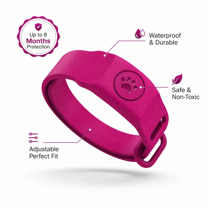 8 Month Flea & TickProtection Collar