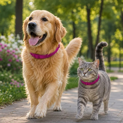 8 Month Flea & TickProtection Collar