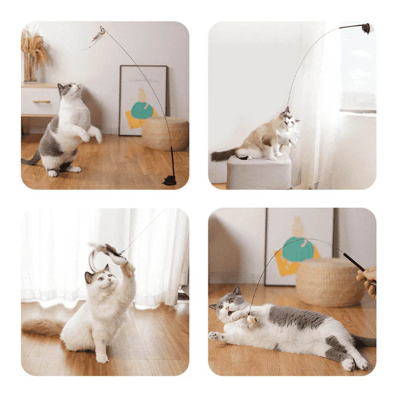 Interactive Bird Simulation Cat Toy