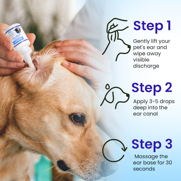🐾 Official Store | RZXEA™ Pet EarPro Drops FM+
